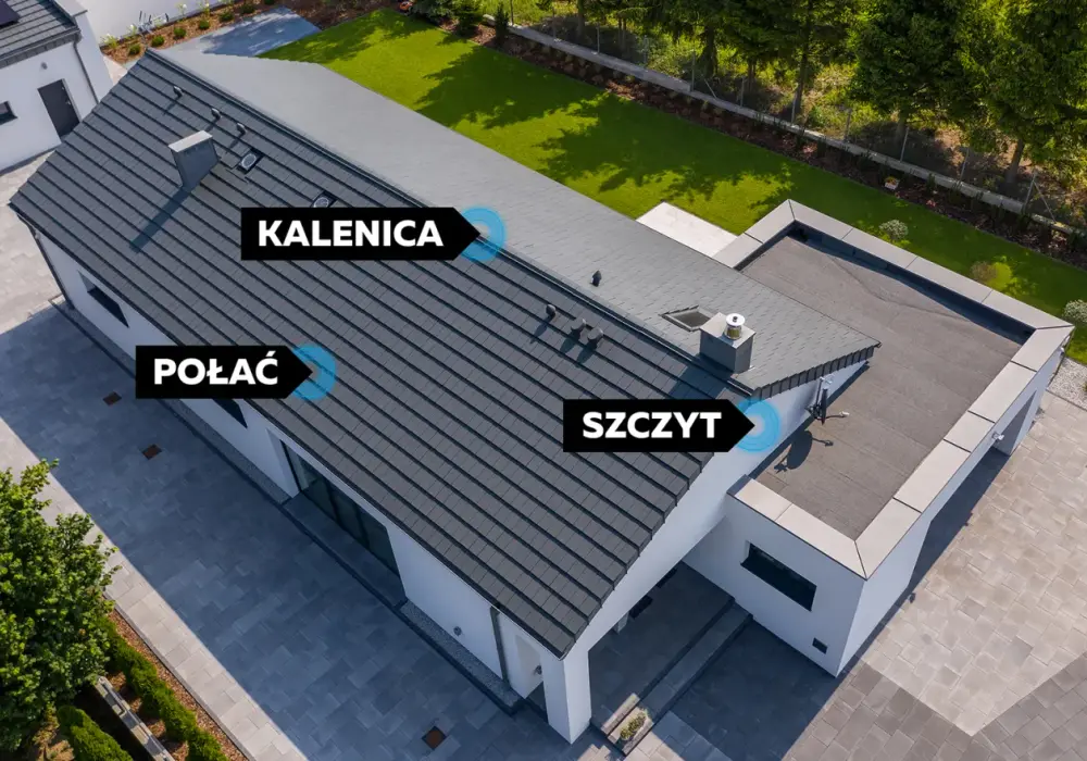 Co to jest dach? Kluczowe informacje o jego funkcjach i rodzajach