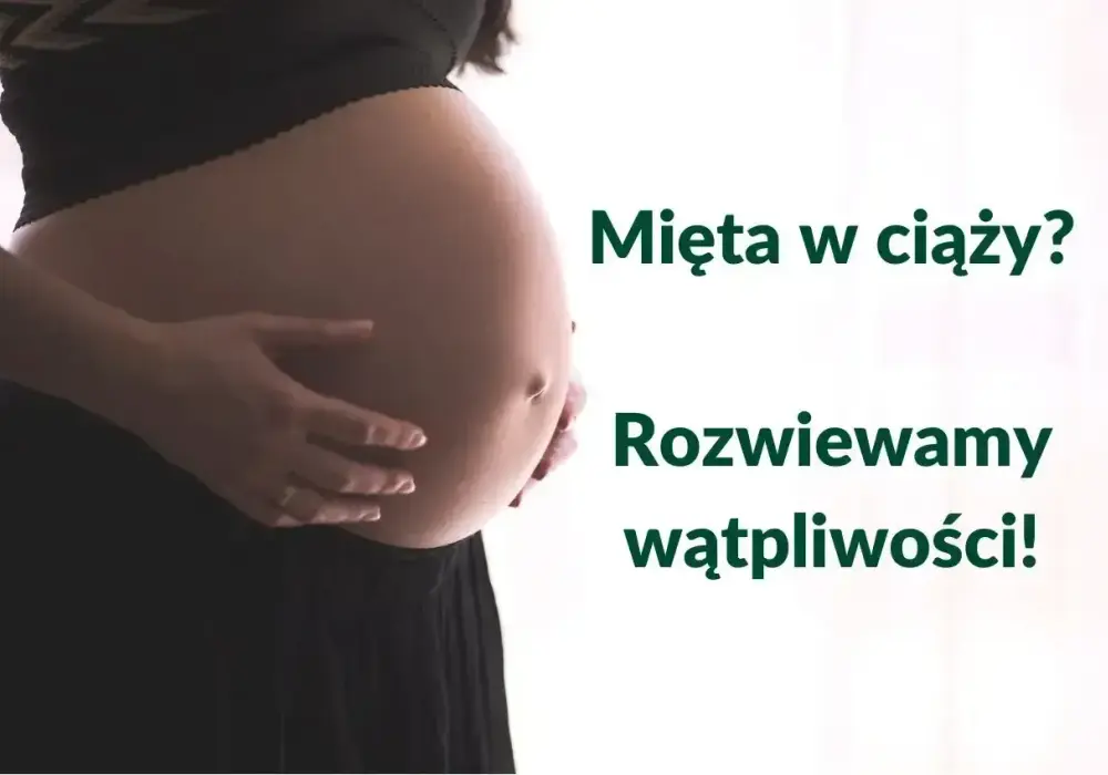 Mięta w ciąży - kiedy pomaga, a kiedy szkodzi?