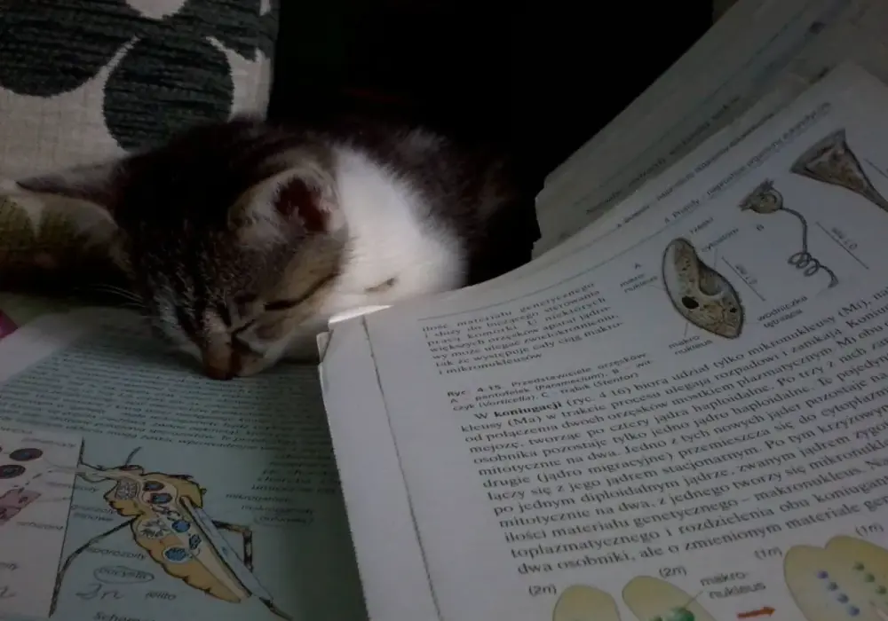Książka do biologii maturalnej - Dlaczego sama teoria to za mało?