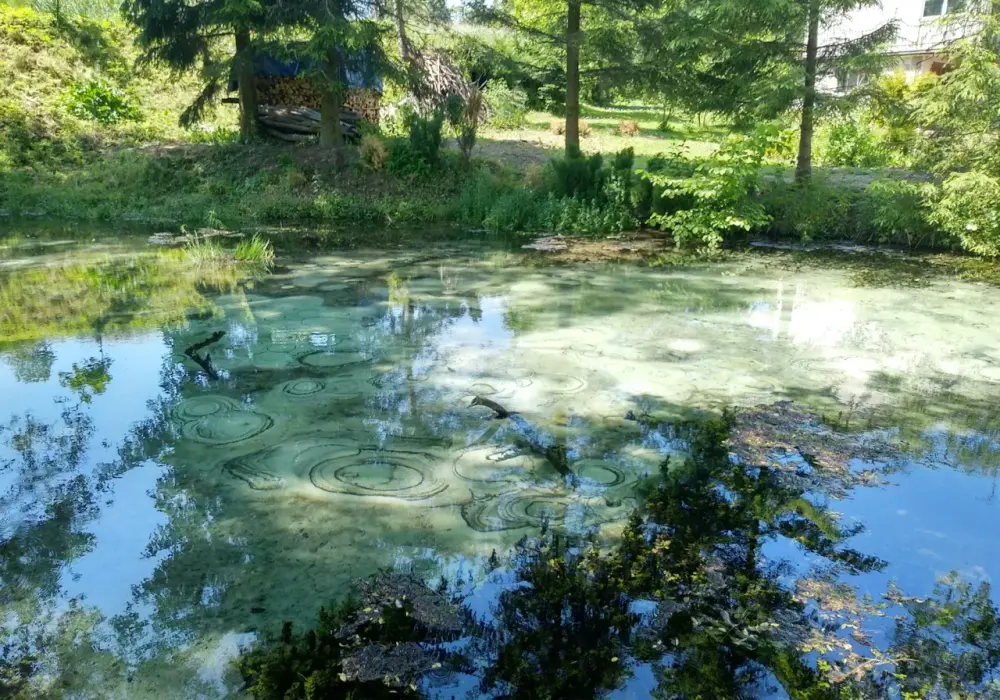 Dłubniański Park Krajobrazowy: Ucieczka z Krakowa. Co zobaczyć?