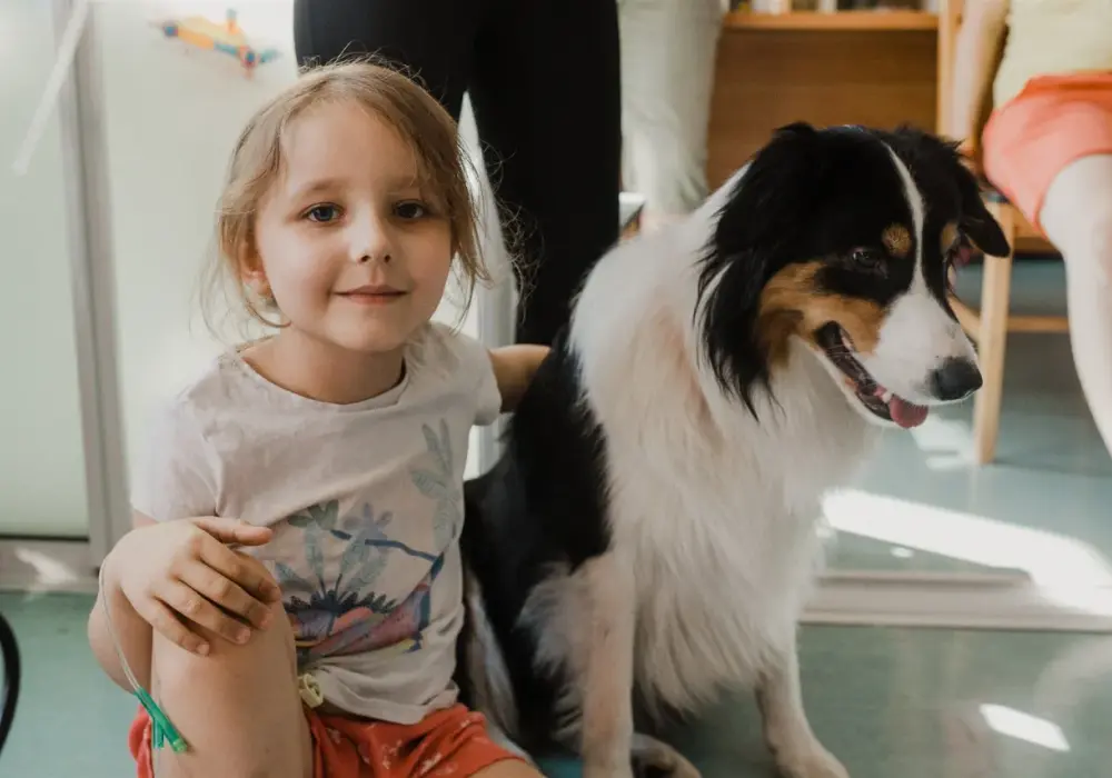 Border Collie z dziećmi: Czy to dobry pomysł?