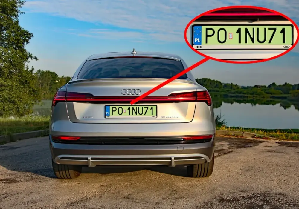 Zielone tablice rejestracyjne - kto je dostaje i co dają?