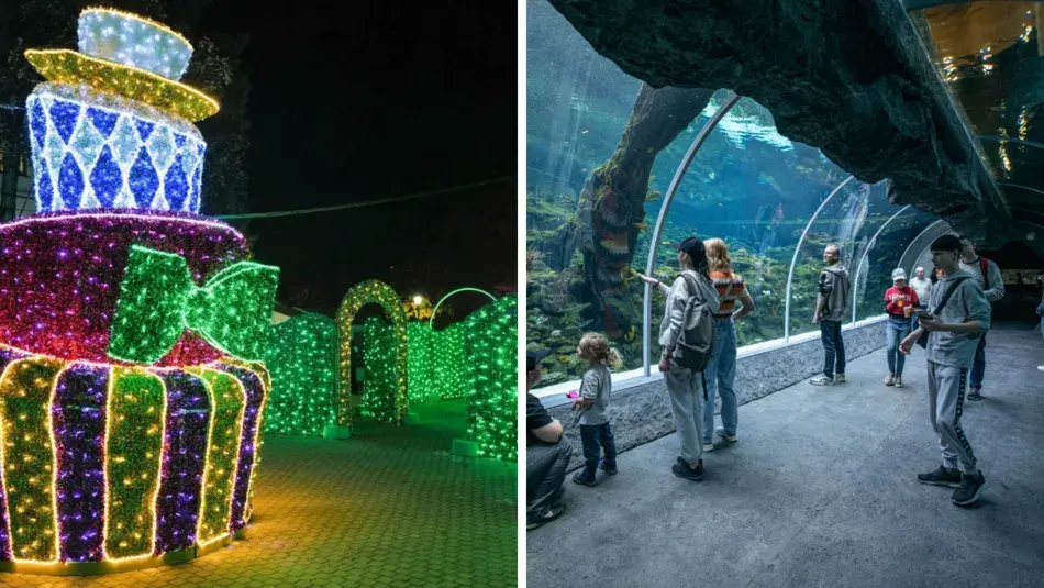 Ile kosztuje bilet do łódzkiego zoo? Ceny, zniżki i porady