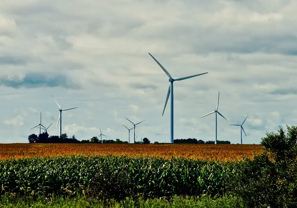 Gdzie są elektrownie wiatrowe w Polsce? Odkryj ich lokalizacje i potencjał