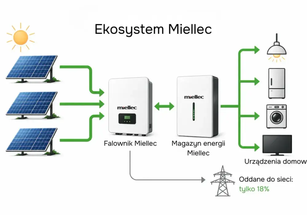 Fotowoltaika - Jak zmaksymalizować zyski z magazynem energii?
