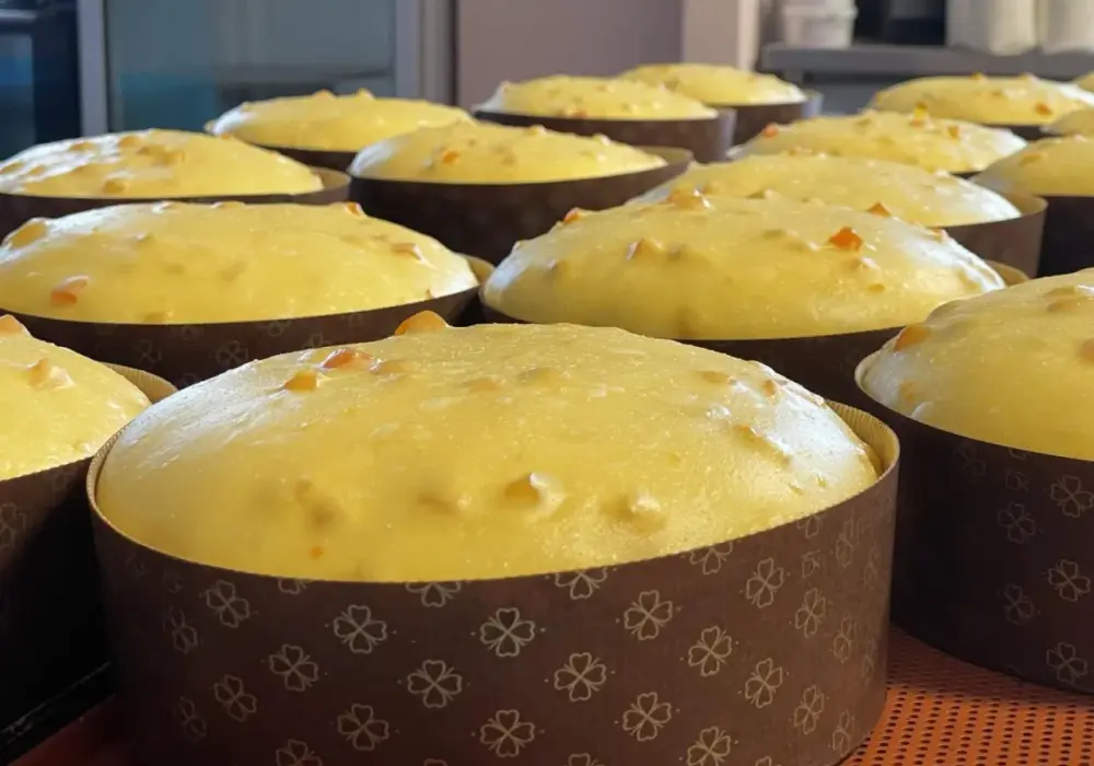 Panettone w domu - Odkryj sekret włoskiego symbolu Świąt