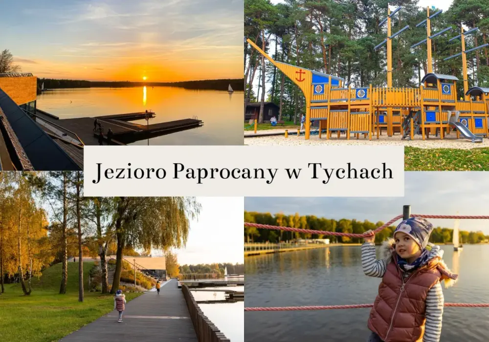 Paprocany Tychy: Atrakcje, Ceny, Dojazd. Planuj Idealny Dzień!