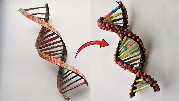 Jak zrobić DNA na biologię - proste kroki do udanego modelu
