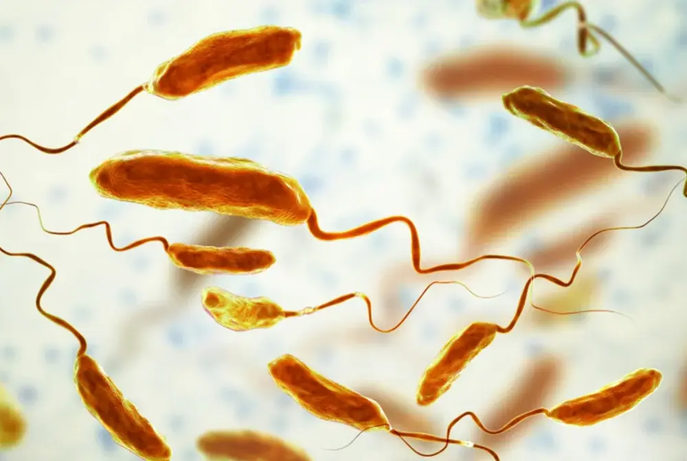 Cholera - objawy, leczenie i profilaktyka, które warto znać