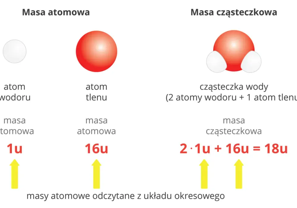 Masa cząsteczkowa krok po kroku - jak liczyć bez pomyłek