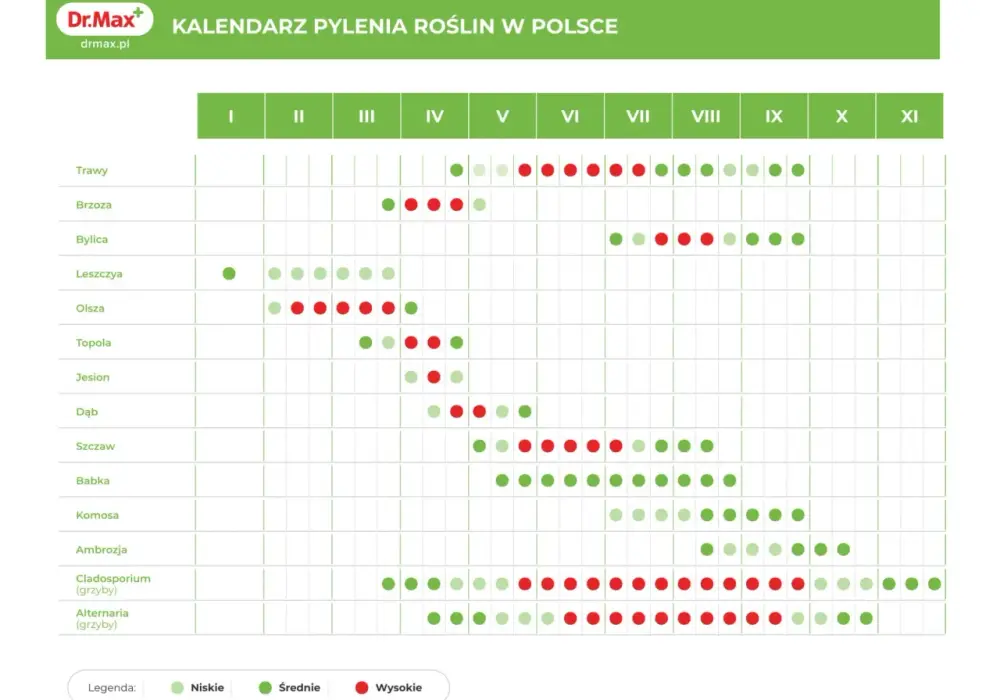 Co pyli w lipcu? Trawy, bylica, chwasty - jak sobie radzić?