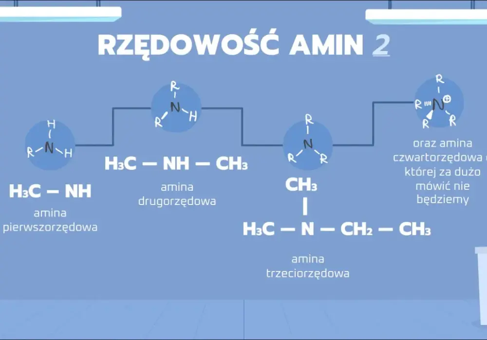 Amidy w chemii organicznej - budowa, nazewnictwo i reakcje