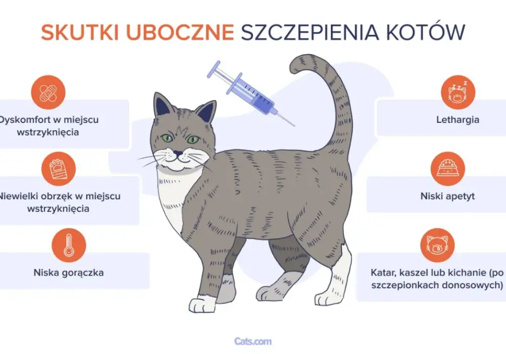 Skutki uboczne szczepienia kota: łagodne vs. groźne objawy