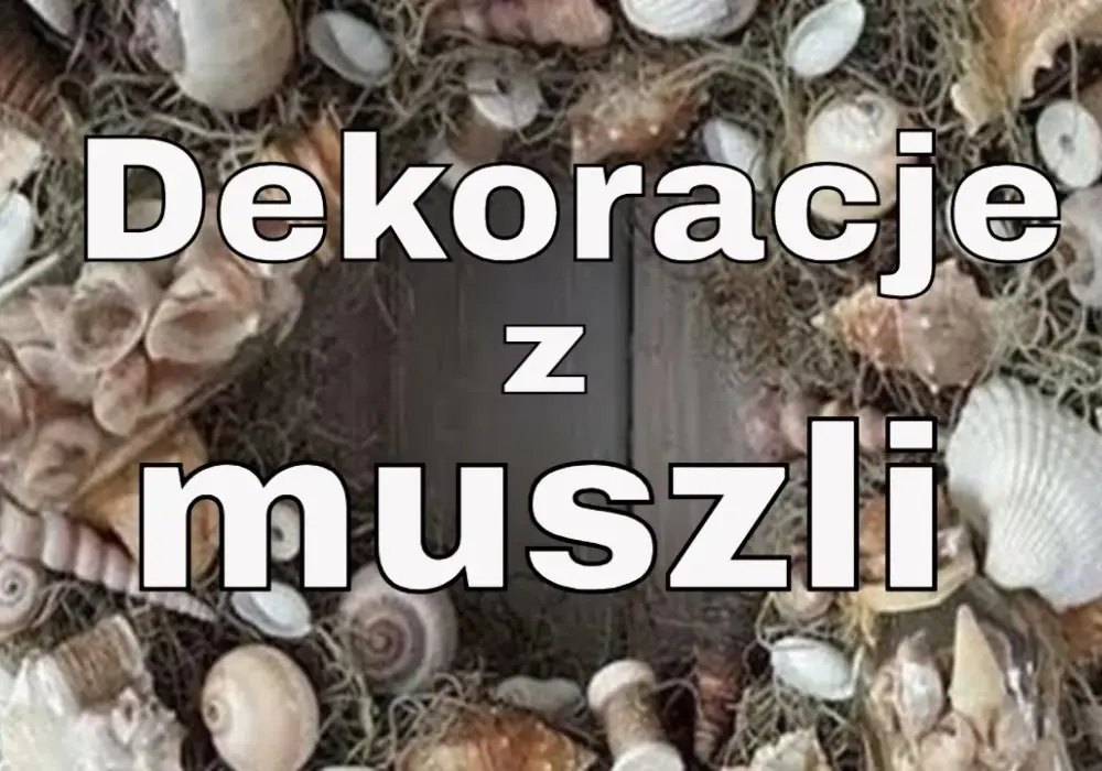 Kreatywne projekty DIY z muszelek, które ożywią Twoje wnętrze