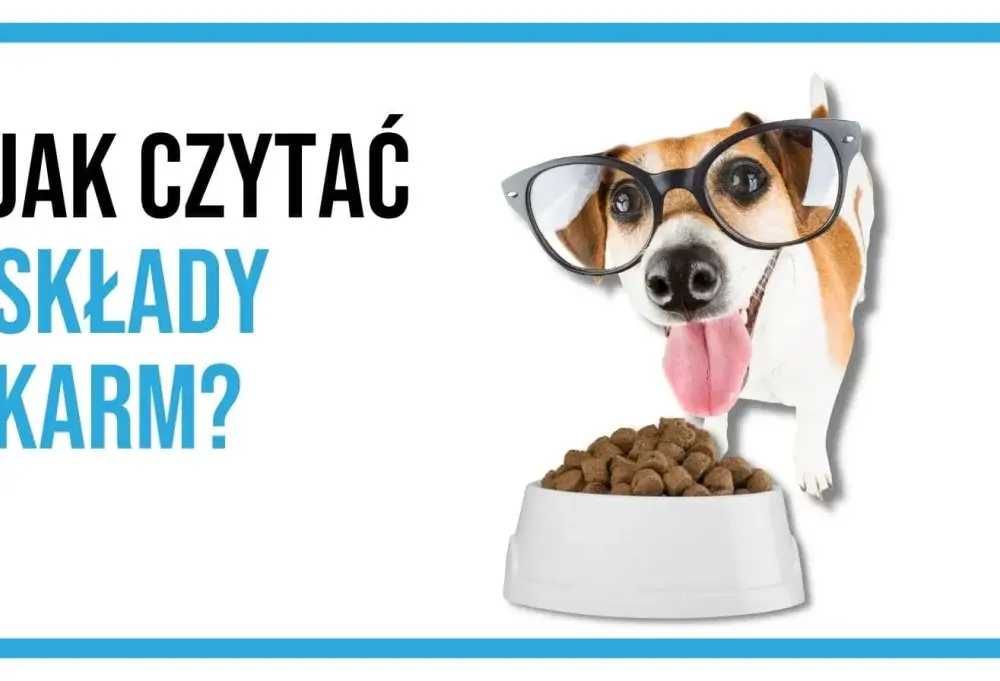 Etykiety karm dla psów: Demaskujemy sekrety składu!
