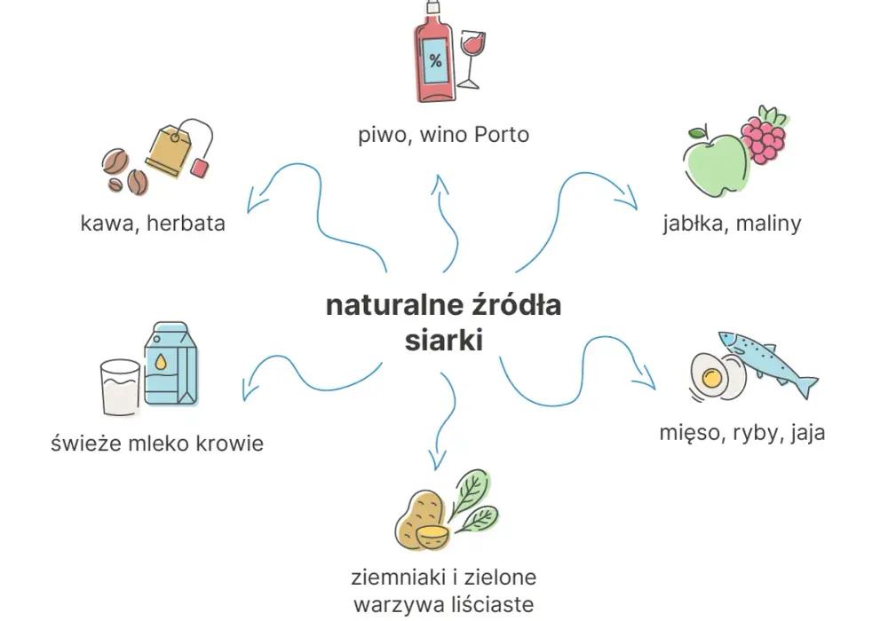 MSM, czyli siarka organiczna - kiedy ma sens i jak stosować?