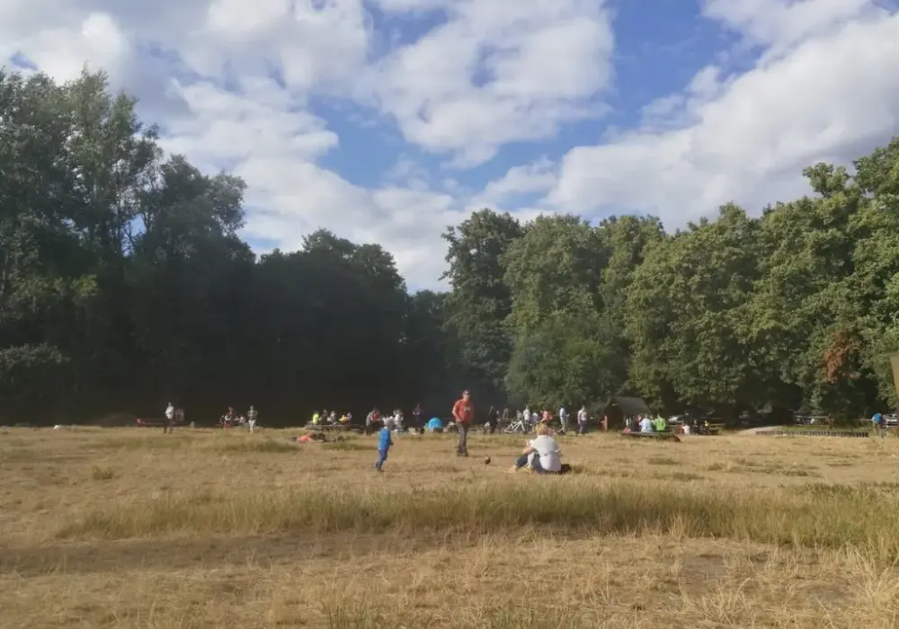 Gdzie legalnie rozpalić ognisko w Warszawie? Top miejsca na biwak