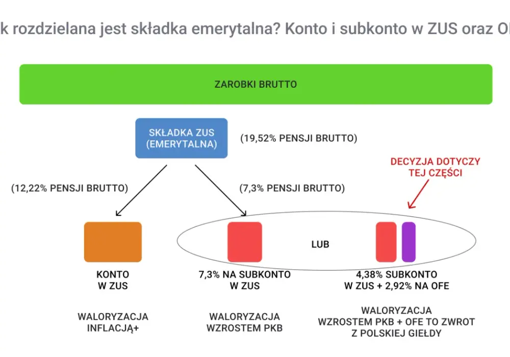 OFE czy subkonto w ZUS? - Sprawdź aktualny podział składki i zasady