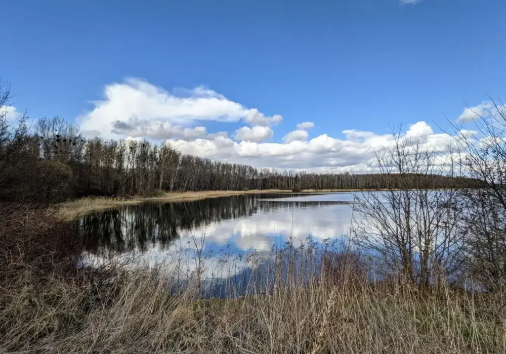 Dzierżno Duże - co warto wiedzieć przed wizytą nad wodą