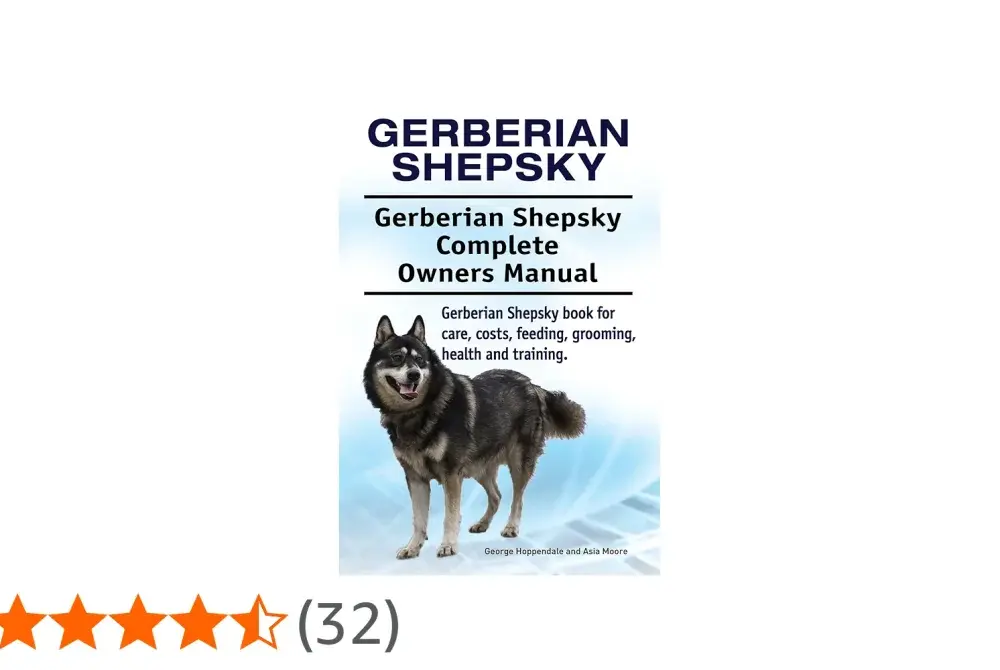 Gerberian Shepsky: Czy ten pies jest dla Ciebie? Przewodnik
