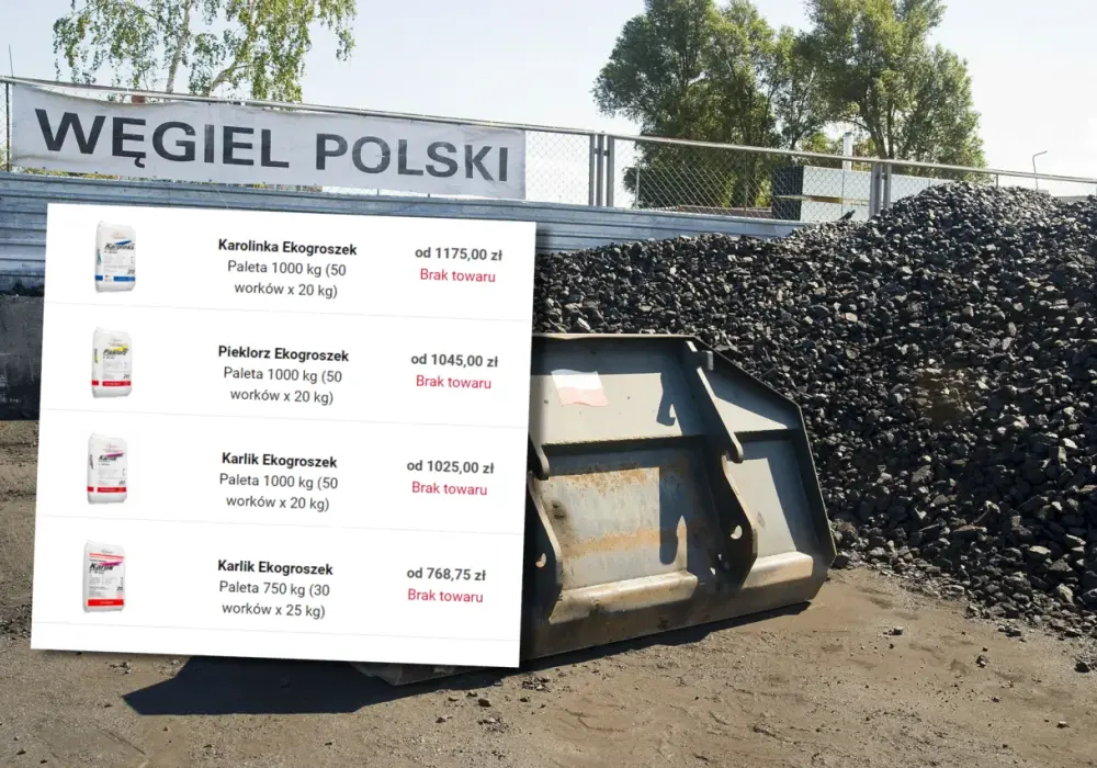Węgiel 2026: Jak kupić w PGG bez zapisów? Poradnik