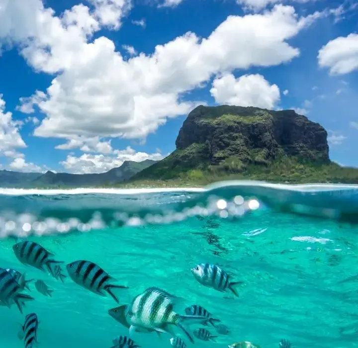 Najlepszy czas na podróż na Mauritius: uniknij deszczu i ciesz się idealną pogodą