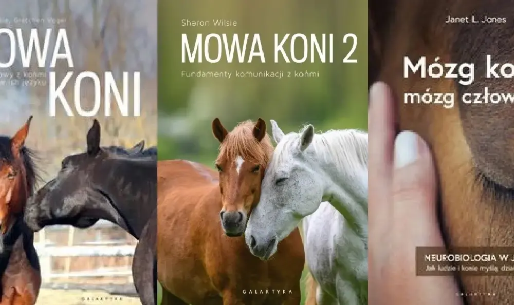 Mózg konia i człowieka: jak neurobiologia zmienia jeździectwo