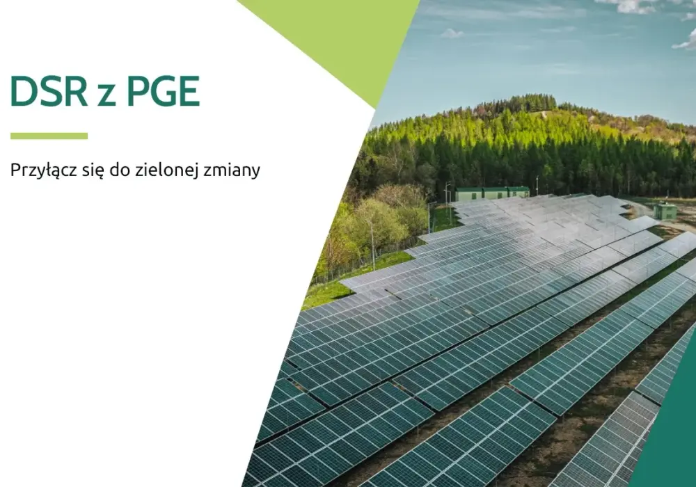 DSR w Polsce - Jak zarabiać na elastycznym poborze energii?