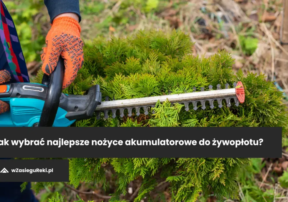 Nożyce akumulatorowe do krzewów: Jak wybrać najlepsze?