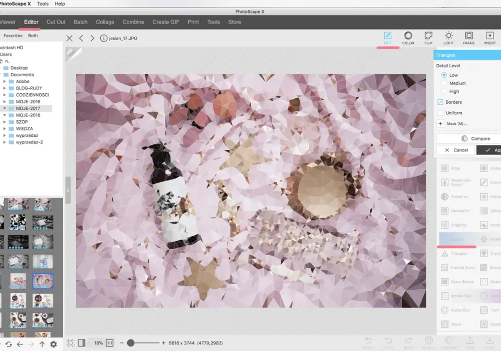 PhotoScape X pod lupą - kiedy warto go wybrać?