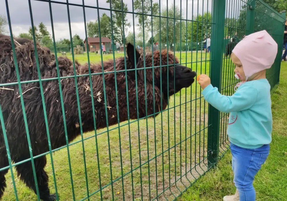 Zoo nad morzem - Które wybrać? Porównanie atrakcji!