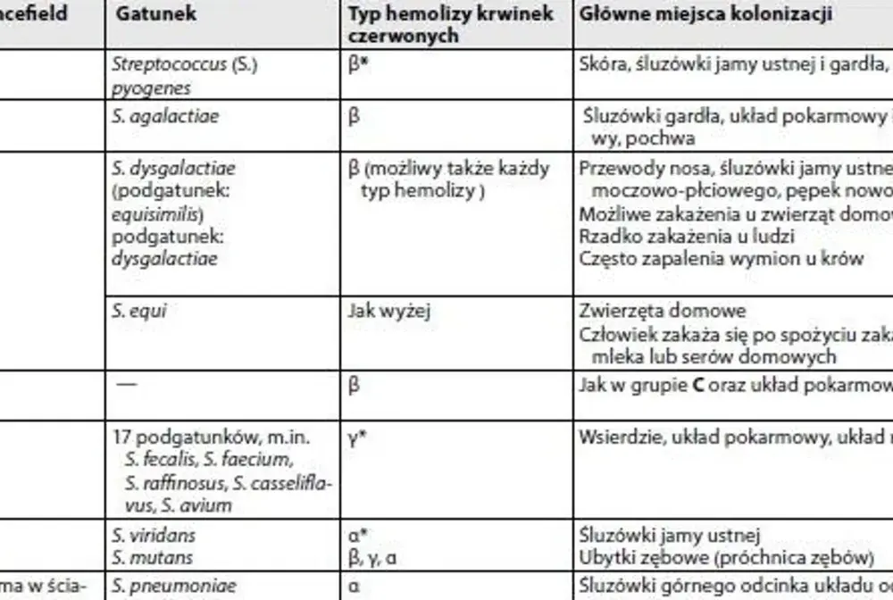 Paciorkowiec - kiedy jest groźny? GAS, GBS - objawy i leczenie