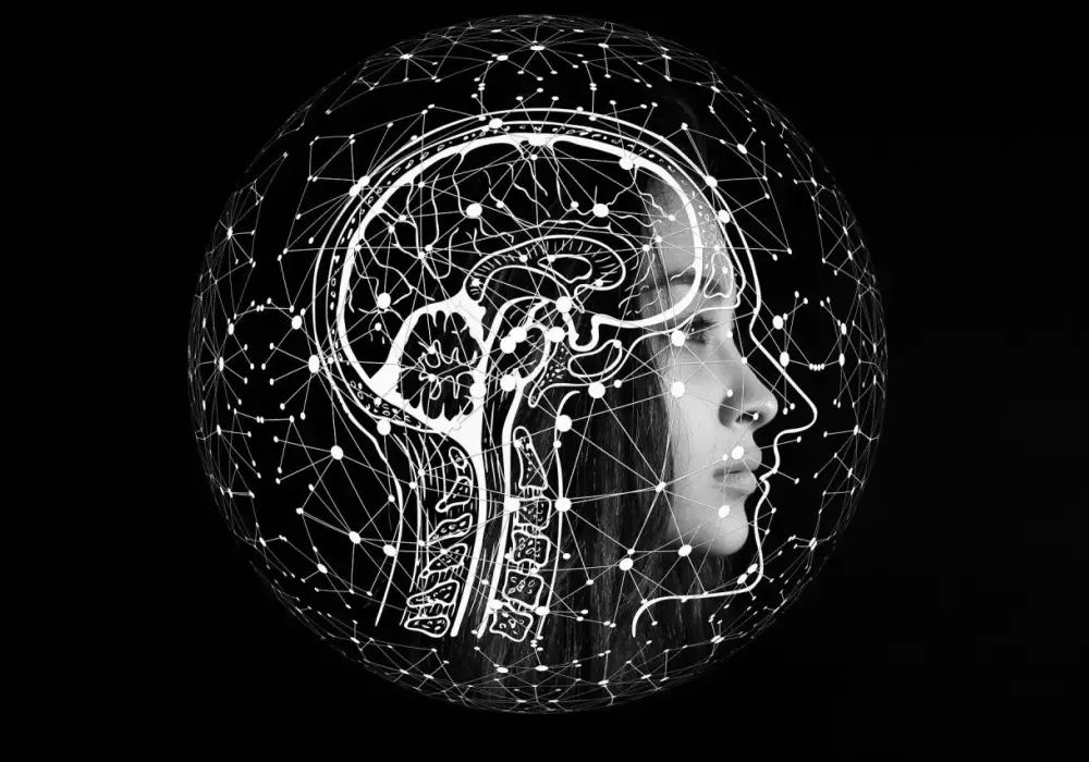 Neurotypowy - Co to znaczy w edukacji? Praktyczny przewodnik