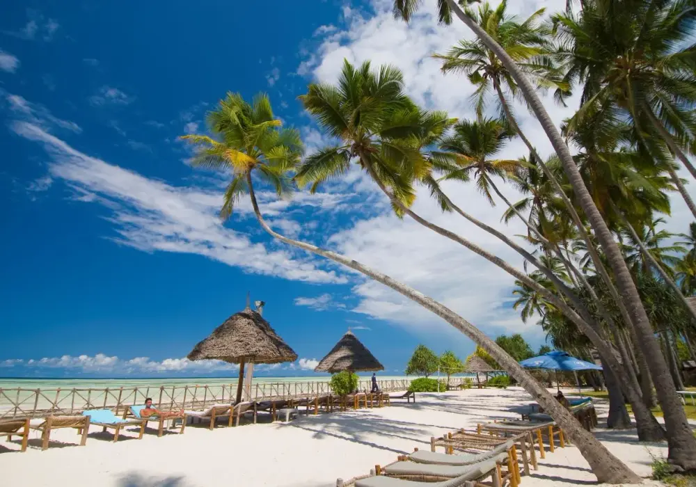 Lot z Gdańska na Zanzibar: Ile trwa? Sprawdź czas podróży!