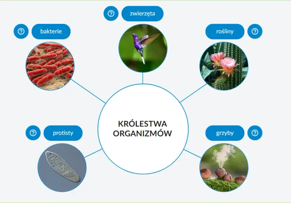 Pięć królestw organizmów - Jak je zrozumieć i uniknąć pomyłek?