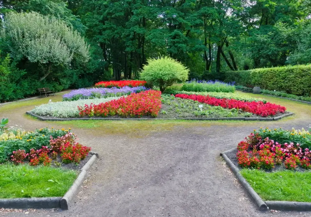 Ogród Botaniczny Zabrze: Zaplanuj wizytę! Godziny, bilety, atrakcje