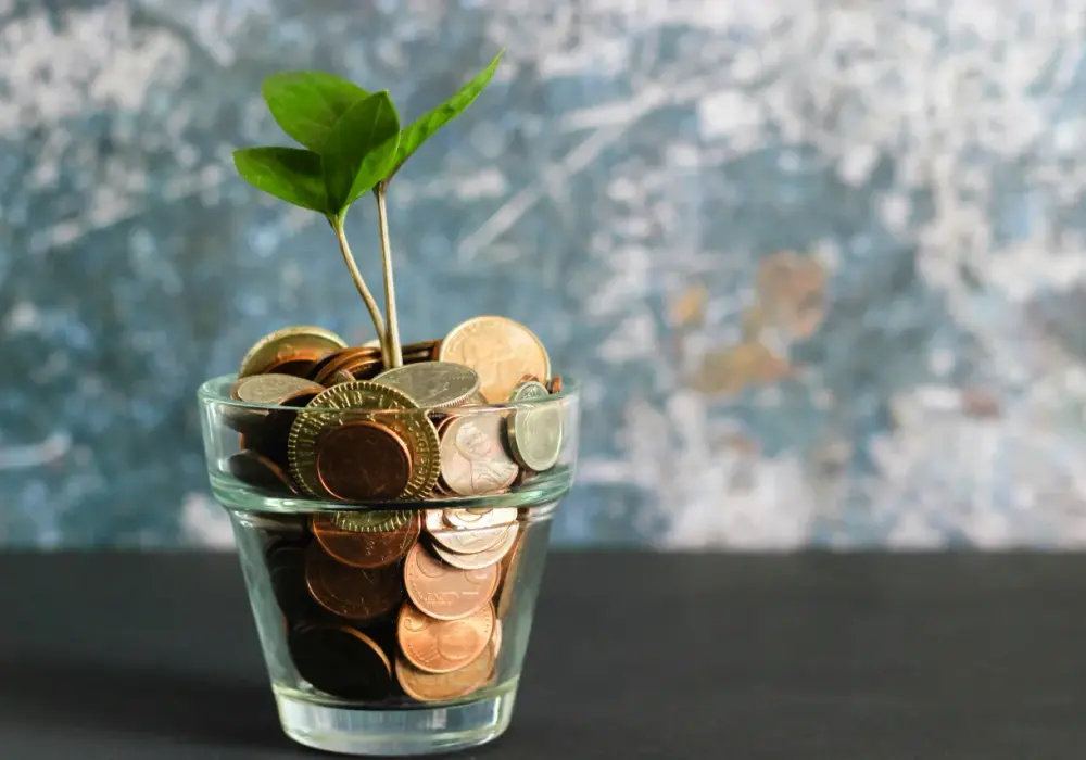 Finansowe oblicza: przegląd rodzajów finansów