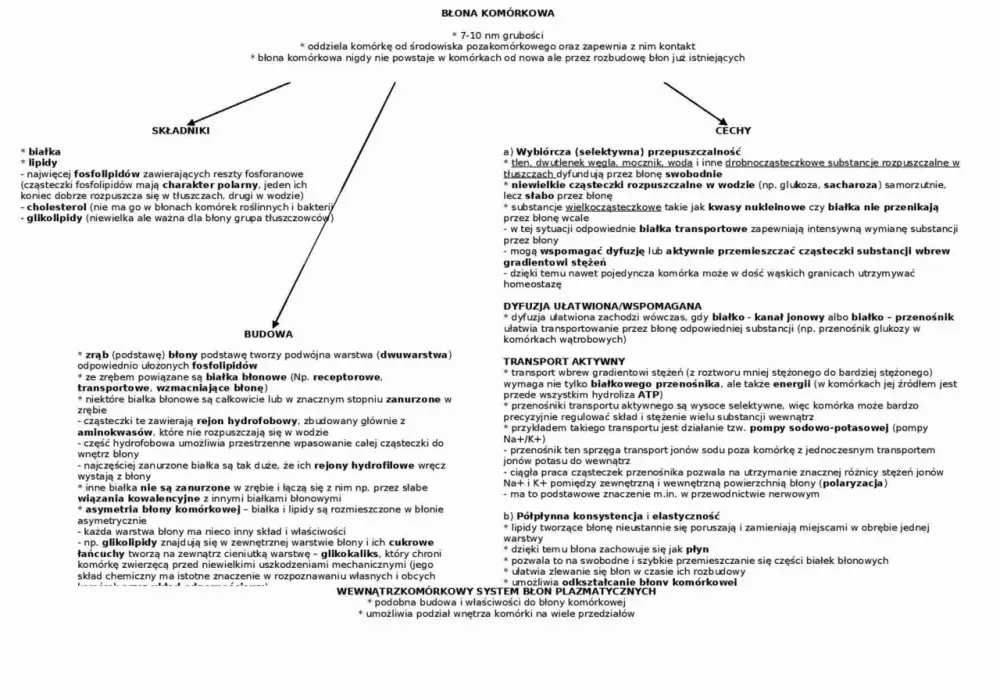 Budowa komórki eukariotycznej - Dlaczego to więcej niż tylko jądro?