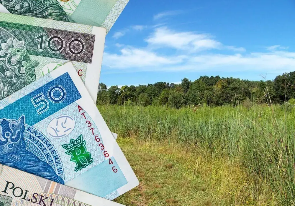 Cena łąki - Ile kosztuje hektar i jak ocenić dobrą ofertę?