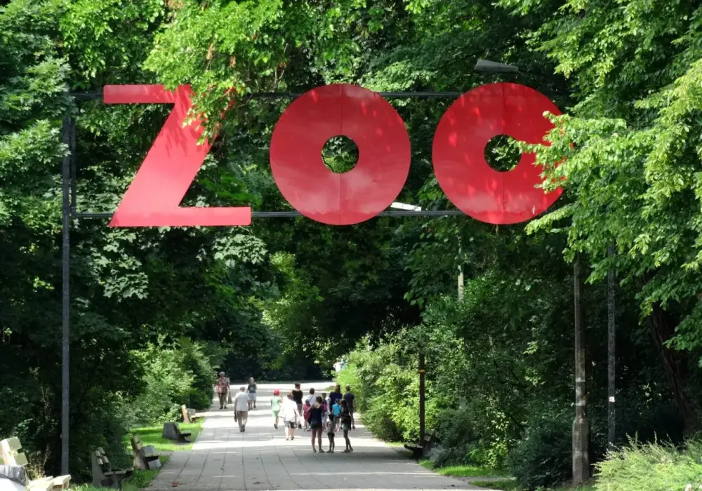Największe zoo w Polsce? Gdańsk czy Wrocław - Wybierz mądrze!