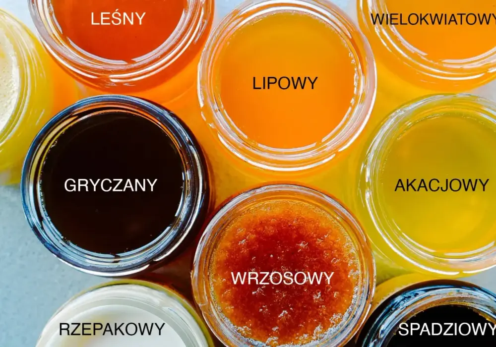 Jaki miód wybrać? Porównanie rodzajów i zastosowań w kuchni