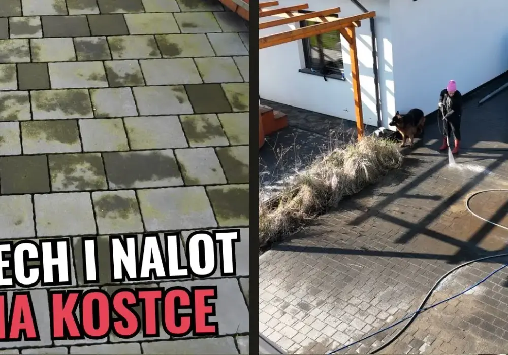 Jak usunąć zielony nalot z kostki brukowej - skuteczne metody i porady