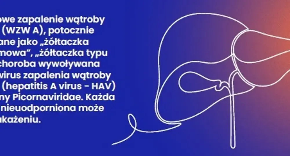 WZW typu A - objawy, leczenie, profilaktyka i szczepienia