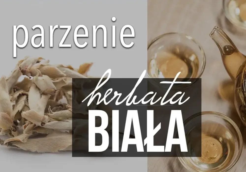 Idealna biała herbata krok po kroku. Poznaj sekretne sposoby parzenia
