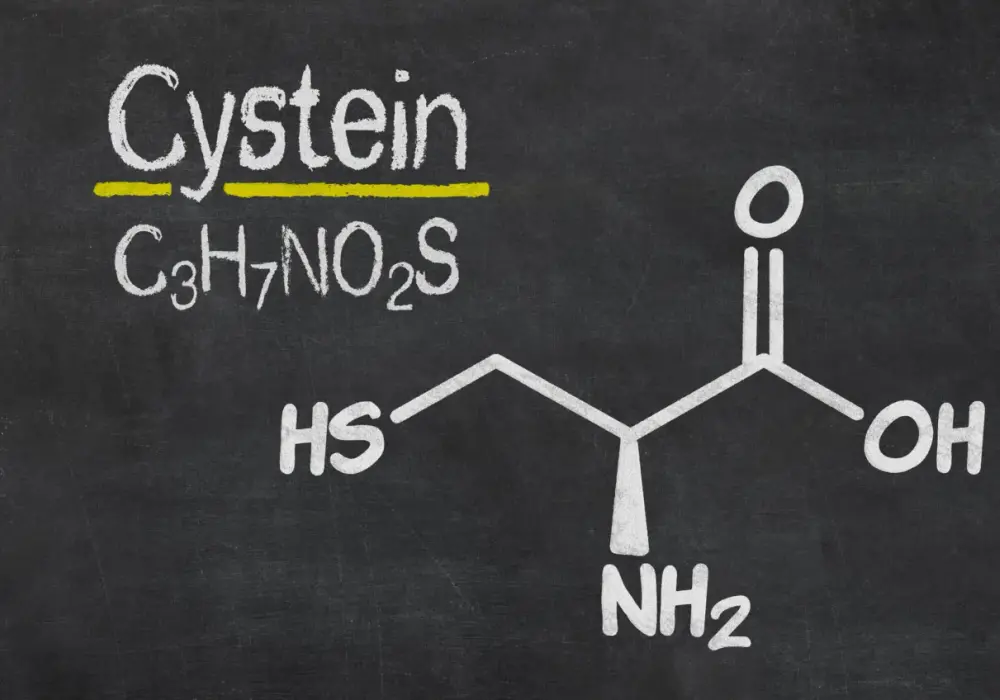 Cysteina - aminokwas czy marketing? Poznaj prawdę o suplementach