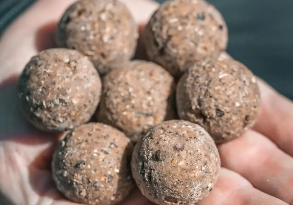 Stick mix PVA - jak łowić karpie? Poradnik krok po kroku