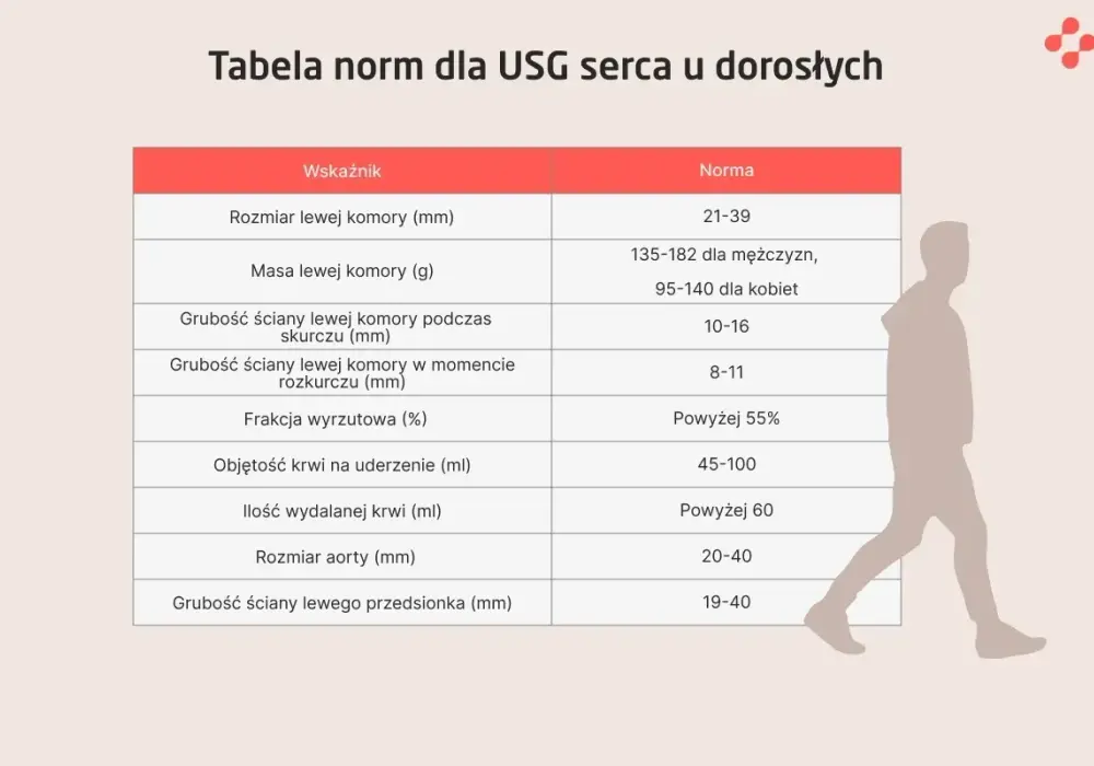 Echo serca - Jak czytać wyniki i co oznaczają?