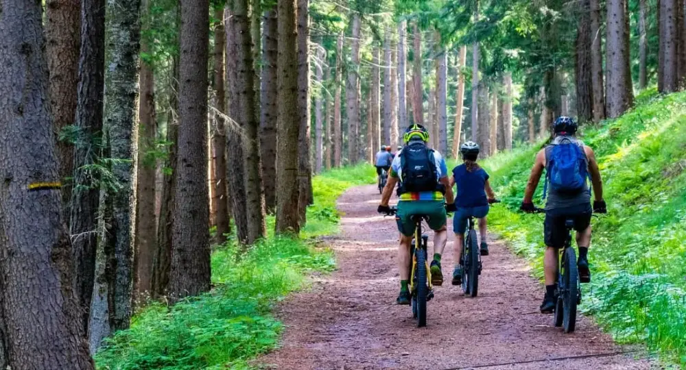 Najlepsze trasy rowerowe w Roztoczańskim Parku Narodowym – trudności i długości