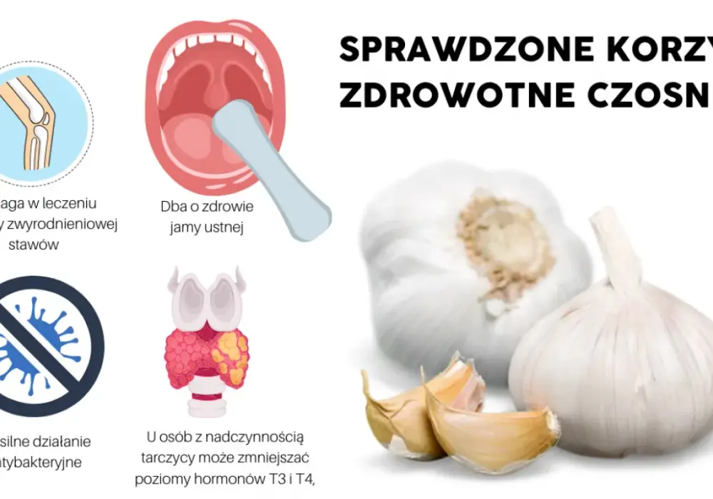 Czosnek - właściwości lecznicze i zastosowanie. Najważniejsze informacje