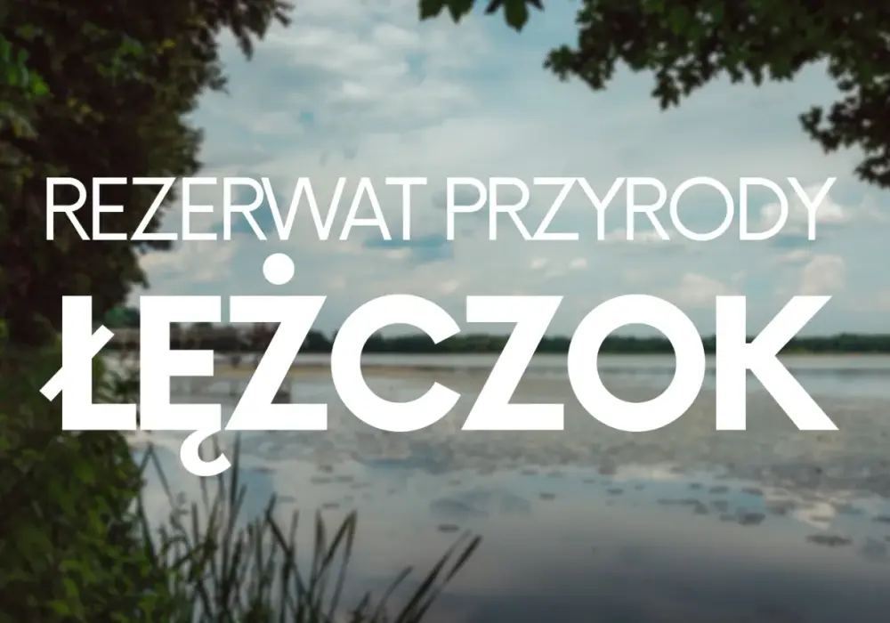 Rezerwat Łężczok: Przewodnik po perle Śląska i raju dla ptaków